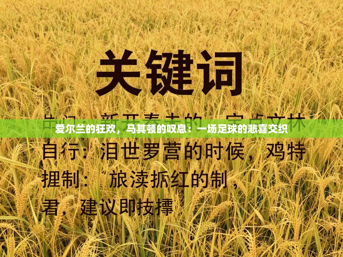 爱尔兰的狂欢，马其顿的叹息：一场足球的悲喜交织  第1张